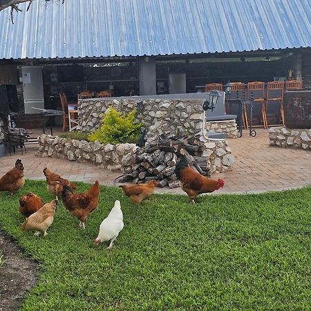 Tamboti Farm Accommodation Tsumeb Dış mekan fotoğraf
