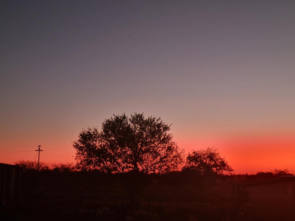 Tamboti Farm Accommodation Tsumeb Dış mekan fotoğraf