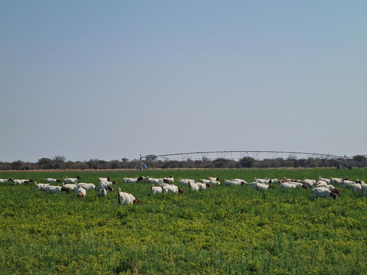 Tamboti Farm Accommodation Tsumeb Dış mekan fotoğraf