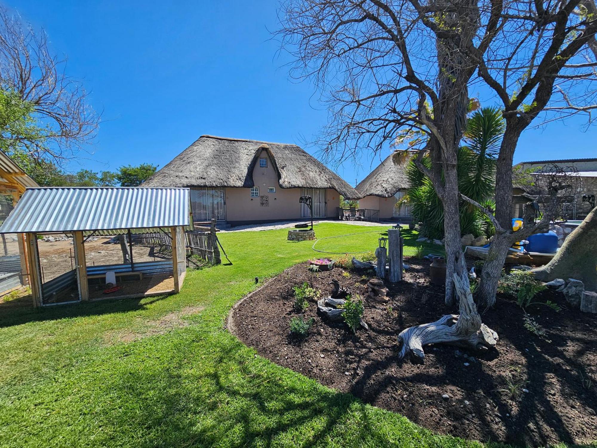 Tamboti Farm Accommodation Tsumeb Dış mekan fotoğraf