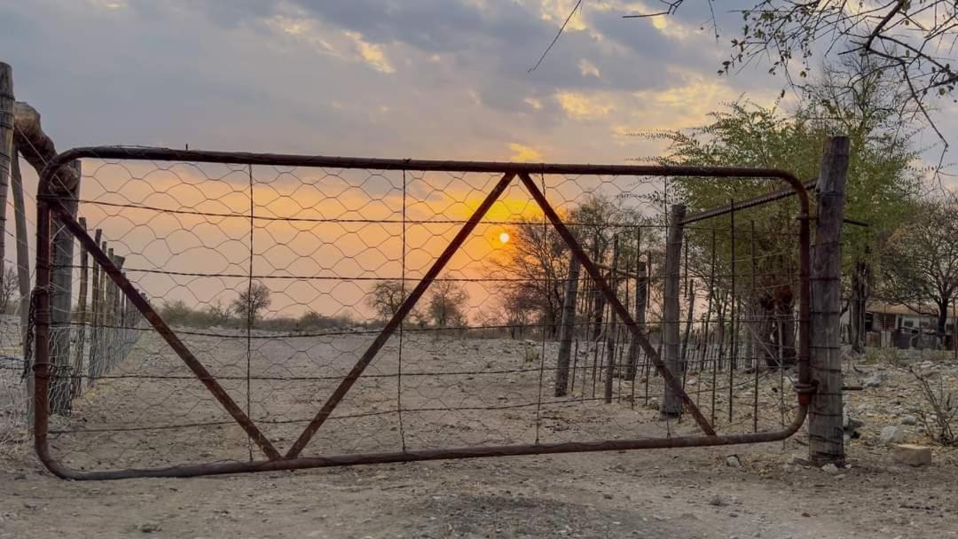 Tamboti Farm Accommodation Tsumeb Dış mekan fotoğraf